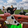 Rechtsvoor springkussen boerderij middel