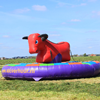 Rodeostier Kind