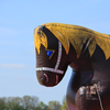 Rechtsvoor kinder rodeo paard
