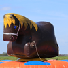 Rechtsvoor kinder rodeo paard