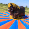 Rechtsvoor kinder rodeo paard