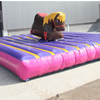 Kinder Rodeo Paard