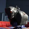Rodeostier voorkant