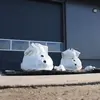 Sneeuwpop worstelen