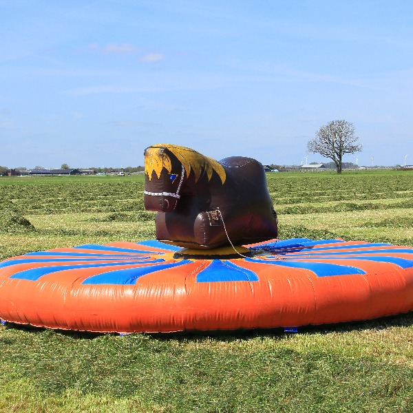 Rechtsvoor kinder rodeo paard