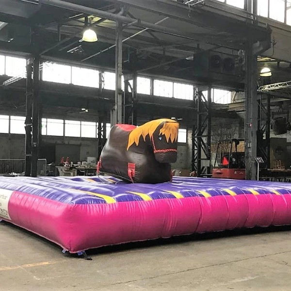 kinder rodeopaard huren Kinder Rodeo Paard