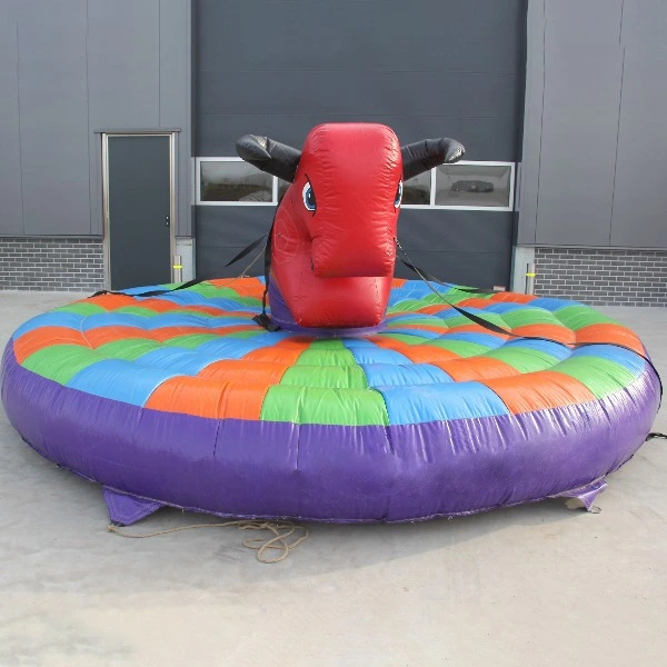 Kinder rodeostier