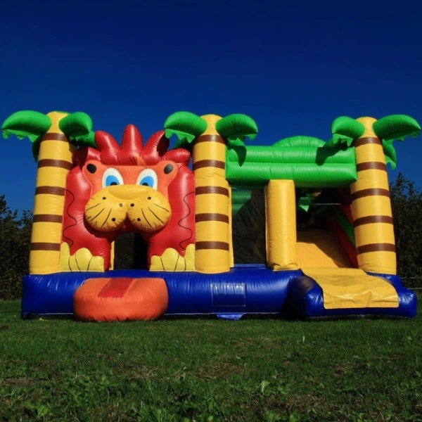 Multiplay Springkussen Leeuw voorkant
